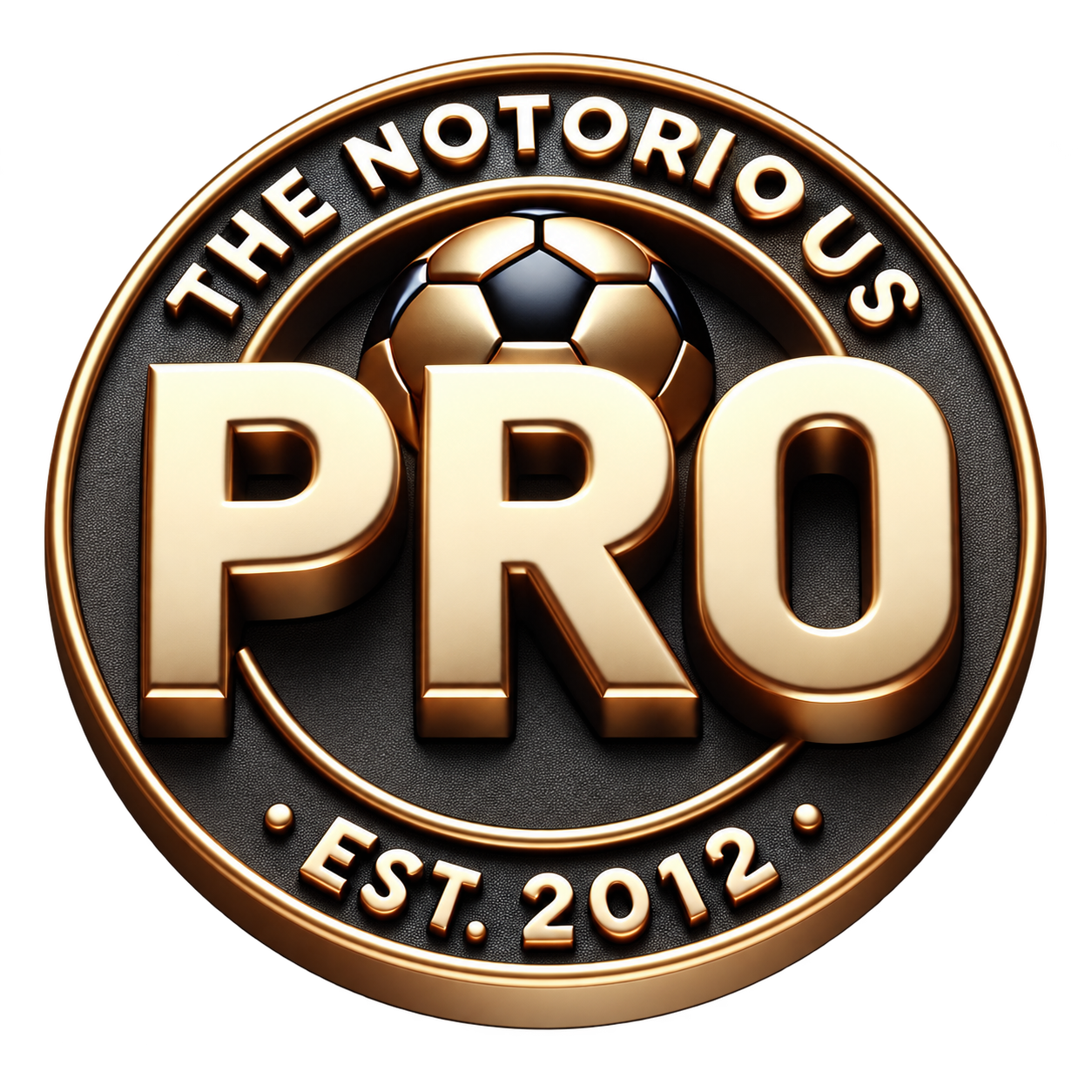 The Notorious Pro logo
